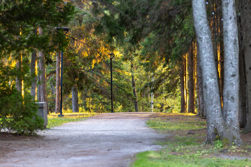 Amélioration du parc Ernest-Lepage